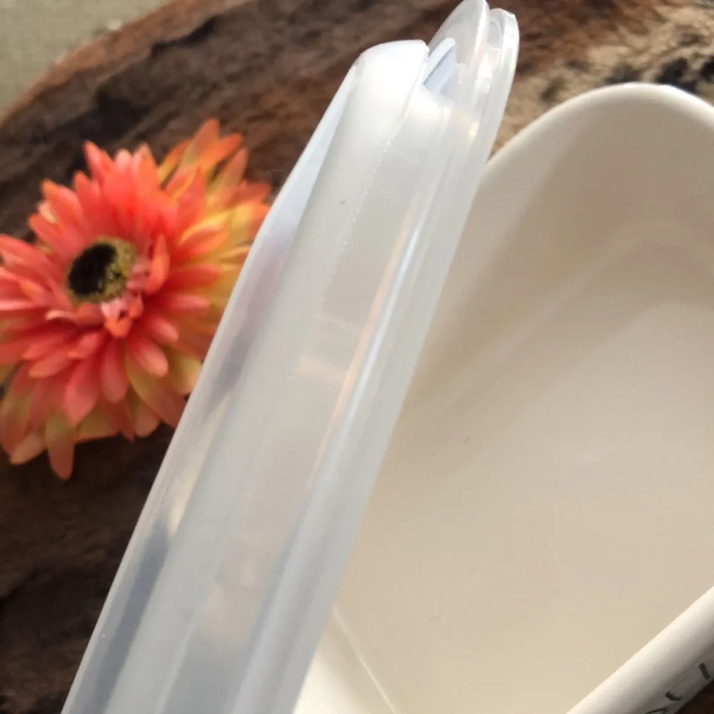 Rae Dunn DELISH ceramic food storage container